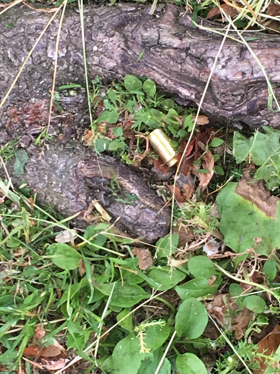 A shell casing was found next to a tree in a Jamaica Plain neighborhood following last night's double fatal shooting. Investigators are back on scene. This is right next to John F. Kennedy Elementary School. Last day of school is tomorrow. 