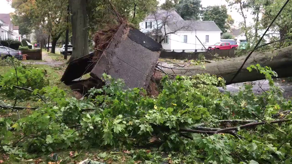 Massive tree uprooted, crushing car and home on Arthur St. in Danvers