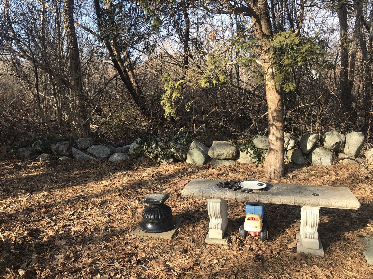 A Rockport resident tells he saw a suspicious young man in the muddy area behind his home moments after a stabbing at the nearby Middle School. Police have arrested a 13y/o for allegedly stabbing a fellow student. She has serious but non life threatening injuries. 