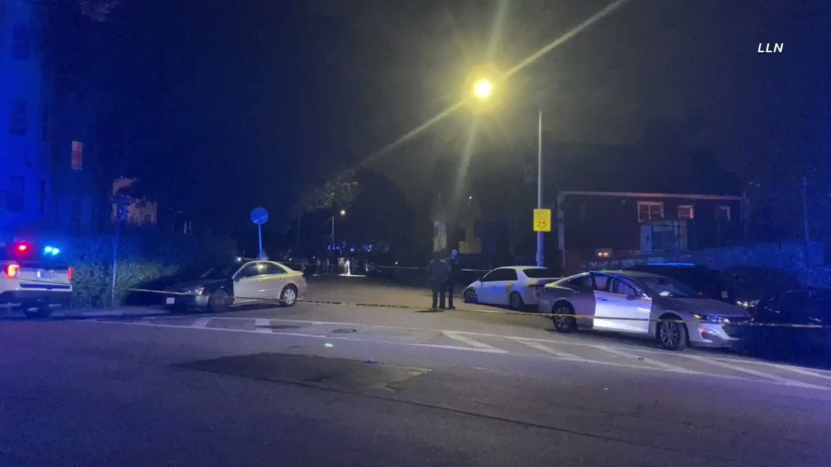 Person reportedly shot in the head and is in critical condition. Appears that a vehicle collision also occurred on scene. Unknown if the vehicle belongs to the shooter(s) or the victim. Boston 