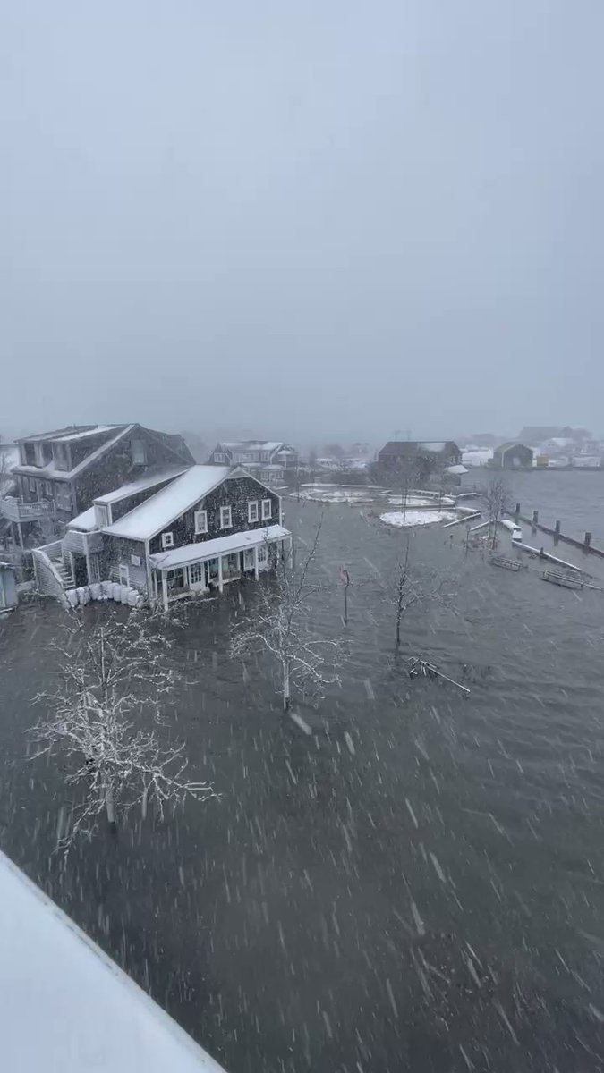 View of Easy Street and the harbor from the deck of the Dreamland flushed nantucket