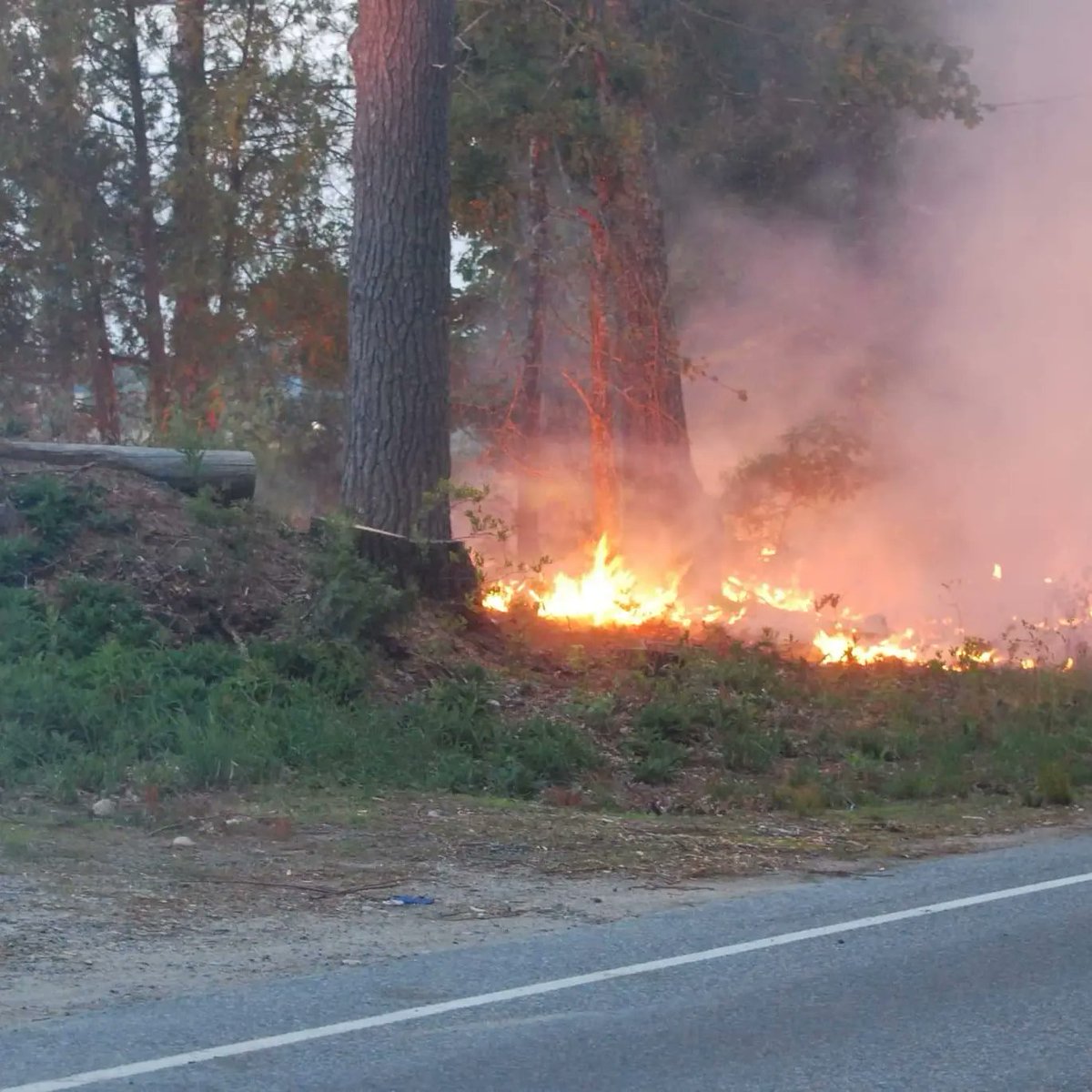 Plympton Fire was dispatched to the power sub-station on Brook St. for an electrical fire that started a brush fire. Eversource responded quickly and killed the power.The fire was quickly extinguished. 