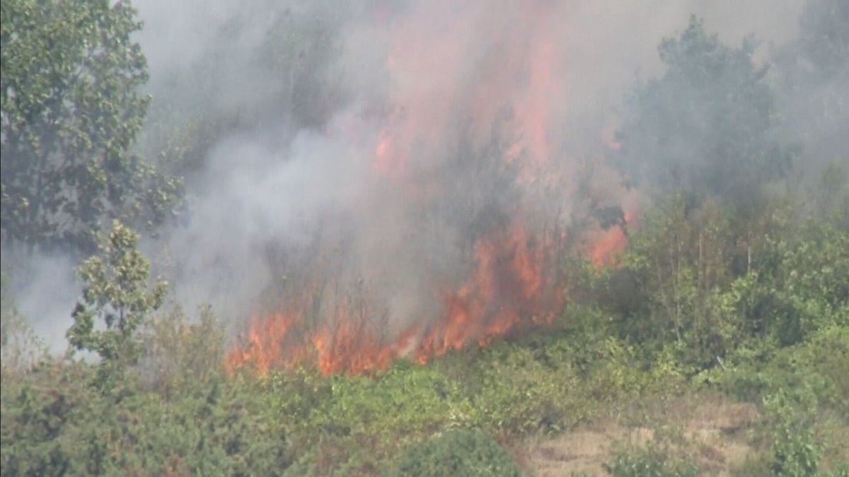 Large brush fire burning right now in Gloucester