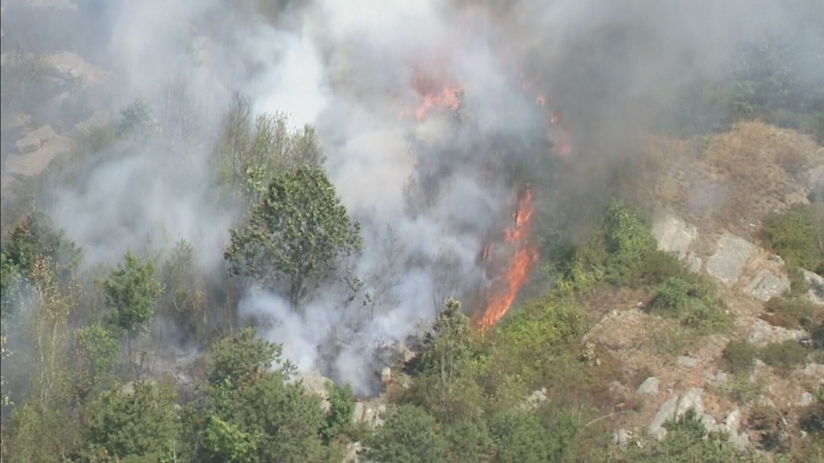 Large brush fire burning right now in Gloucester