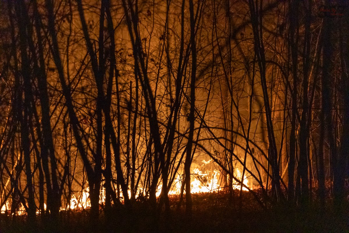 Worcester Firefighters battled a large brush fire in Chandler Hill Park Sunday evening. 6 Engines and a forestry units operated for several hours to contain the fast moving blaze