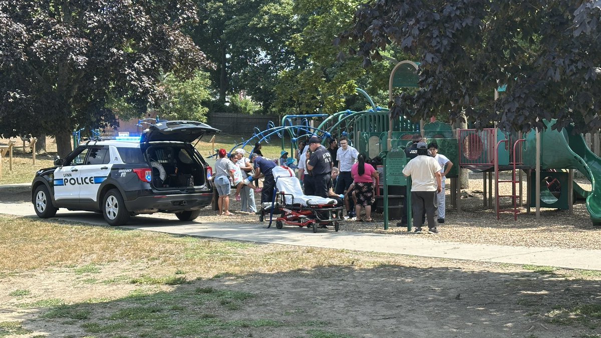 On scene Lynn, multiple people including 2 children attacked by 2 pitbulls in a Chestnut St park